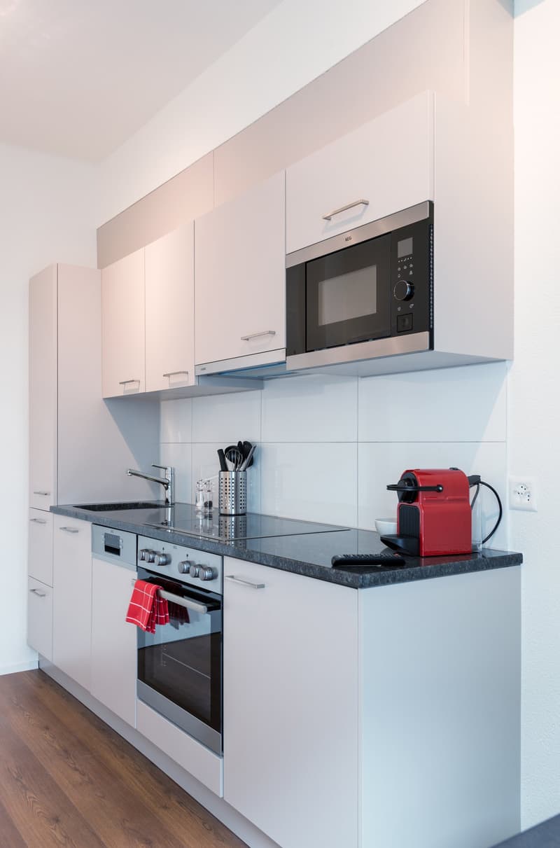 Charmantes möbliertes 2 Zimmer-Apartment mit Balkon in Zürich-Altstetten (7)
