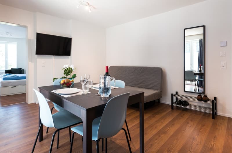 Grosszügiges möbliertes 2 Zimmer-Apartment mit Balkon in Zürich-Altstetten (5)