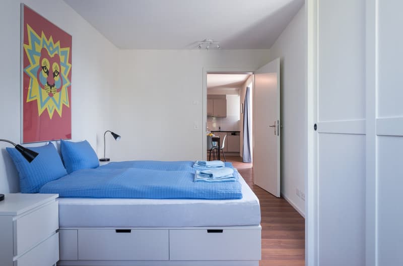 Grosszügiges möbliertes 2 Zimmer-Apartment mit Balkon in Zürich-Altstetten (8)