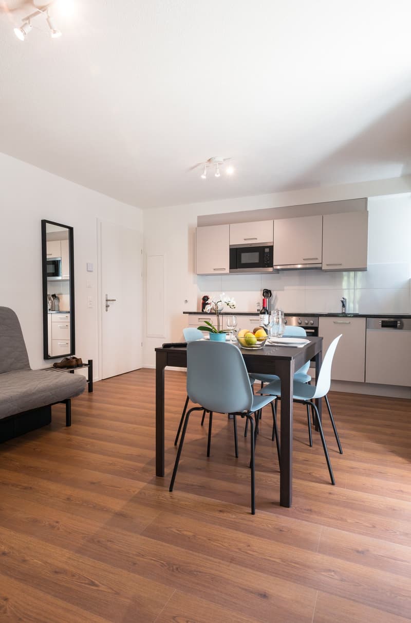 Grosszügiges möbliertes 2 Zimmer-Apartment mit Balkon in Zürich-Altstetten (2)