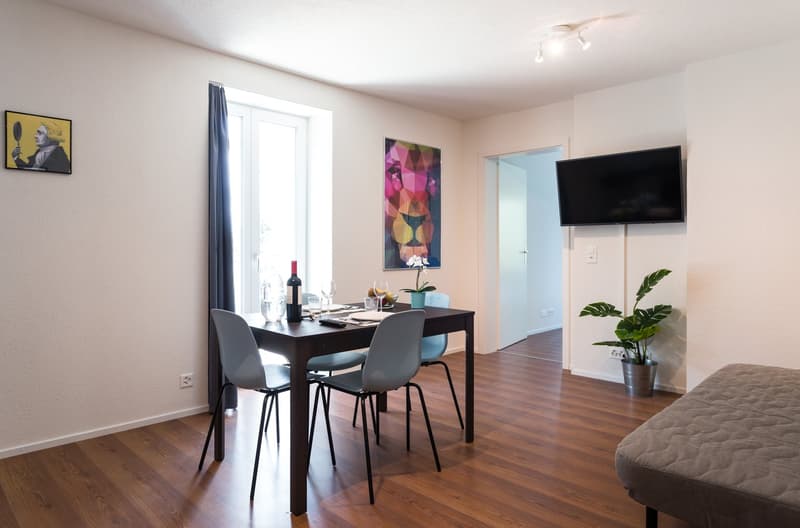 Grosszügiges möbliertes 2 Zimmer-Apartment mit Balkon in Zürich-Altstetten (4)