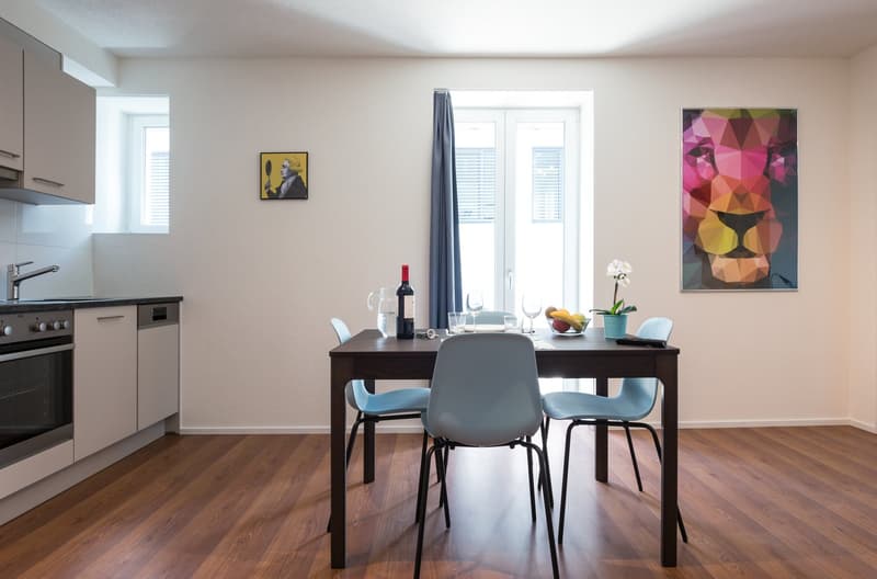 Grosszügiges möbliertes 2 Zimmer-Apartment mit Balkon in Zürich-Altstetten (3)