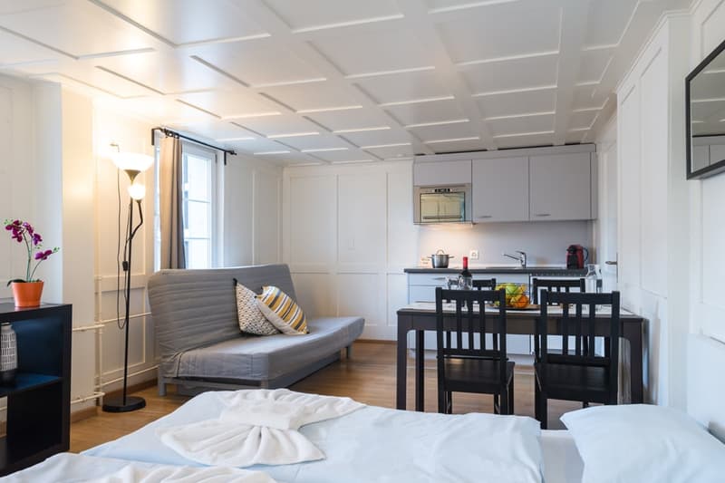 Open-plan studio apartment with a living area, kitchen, and sleeping area. The living area has a gray sofa, and the kitchen is equipped with modern appliances including a dishwasher. The apartment has a bright and airy feel with white walls and a coffered