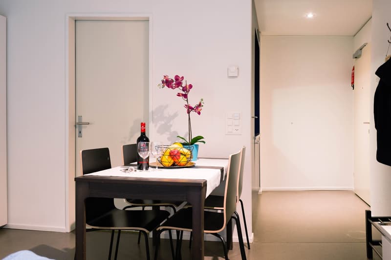 Möbliertes, modernes 1.5 Zimmer Studio mit Balkon (12)
