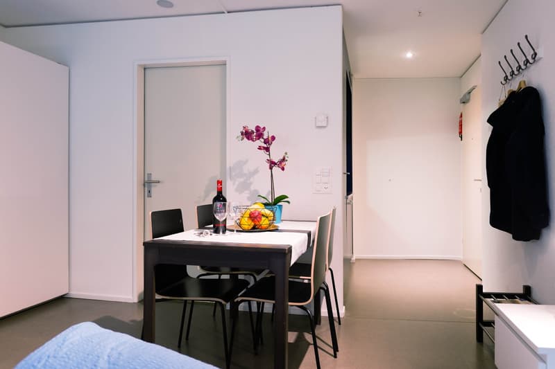 Möbliertes, modernes 1.5 Zimmer Studio mit Balkon (13)
