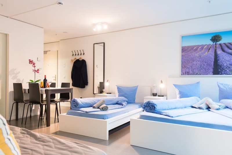Möbliertes, modernes 1.5 Zimmer Studio mit Balkon (3)