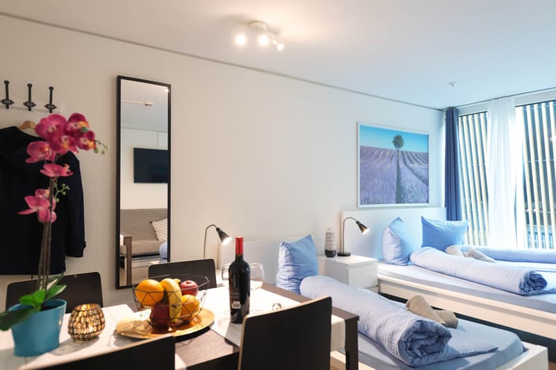 Möbliertes, modernes 1.5 Zimmer Studio mit Balkon (2)