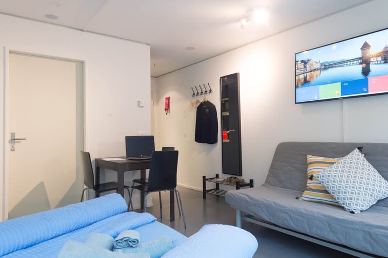Gemütliches 1-Zimmer-Apartment in Luzern (7)