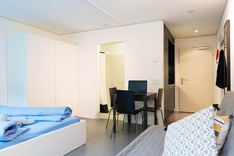 Gemütliches 1-Zimmer-Apartment in Luzern (9)