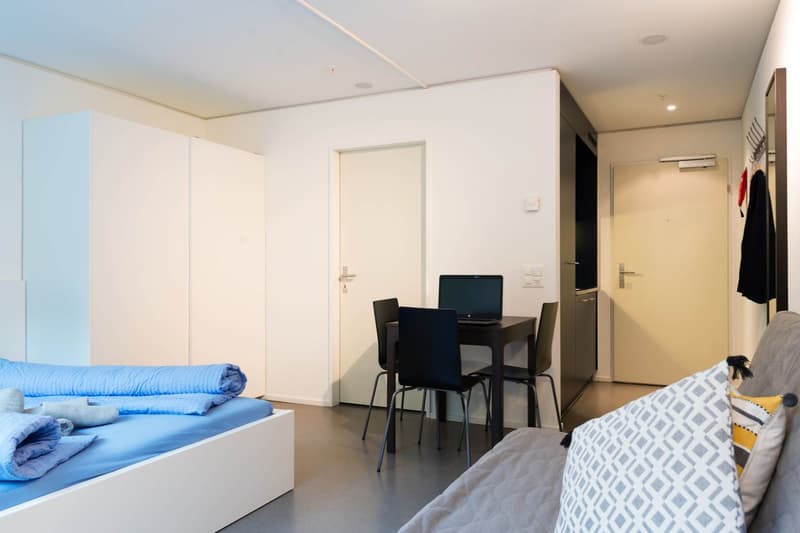 Gemütliches 1-Zimmer-Apartment in Luzern (4)
