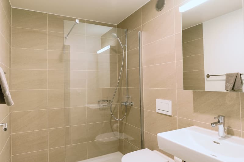 Modernes 1.5-Zimmer-Studio in Basel (11)