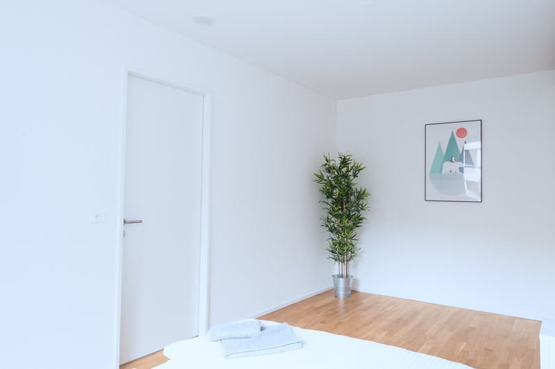 Moderne 2.5-Zimmer-Wohnung mit Balkon in Basel (10)
