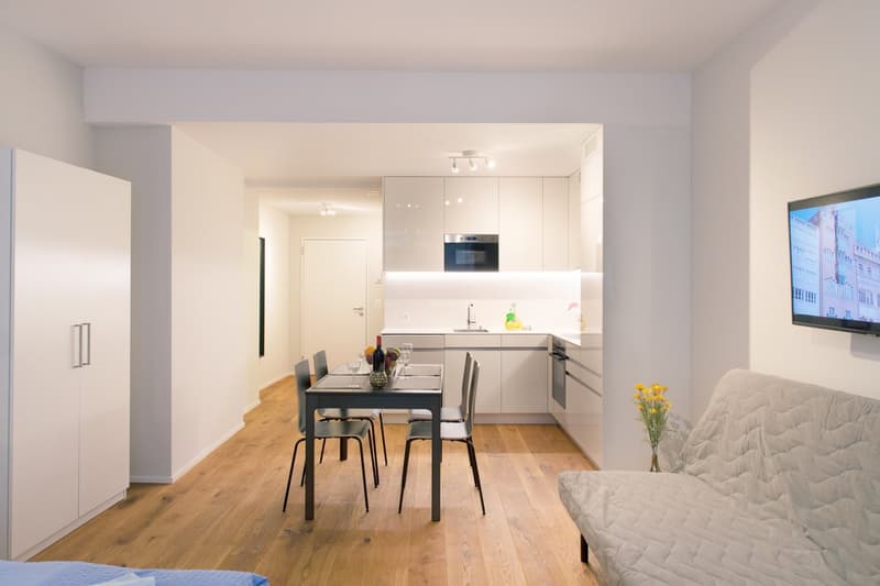 Open-concept living space with a modern kitchen, dining area, and living room. The kitchen features white cabinets and appliances, including a dishwasher. The dining table and chairs are placed in front of the kitchen. The living room has a couch and a TV