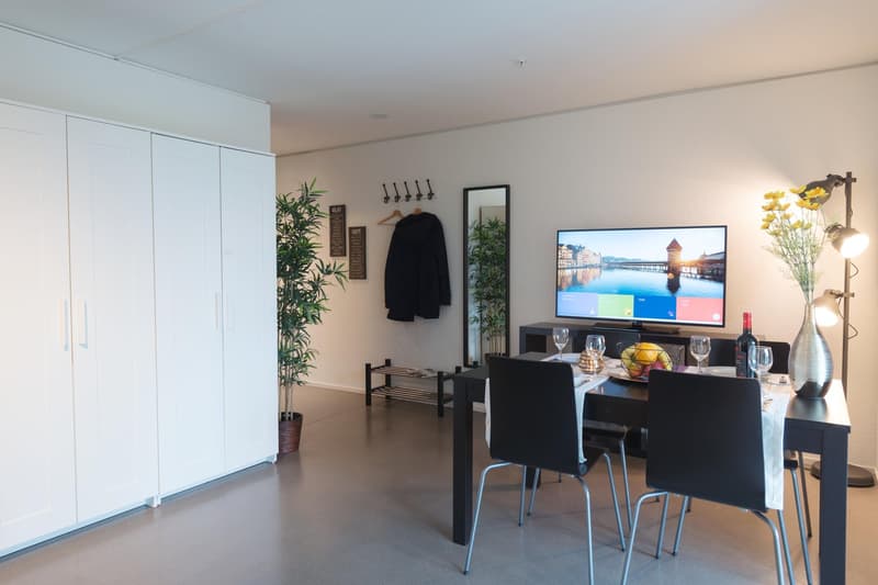 Moderne, möblierte 2-Zimmer-Wohnung mit Balkon in Luzern (2)