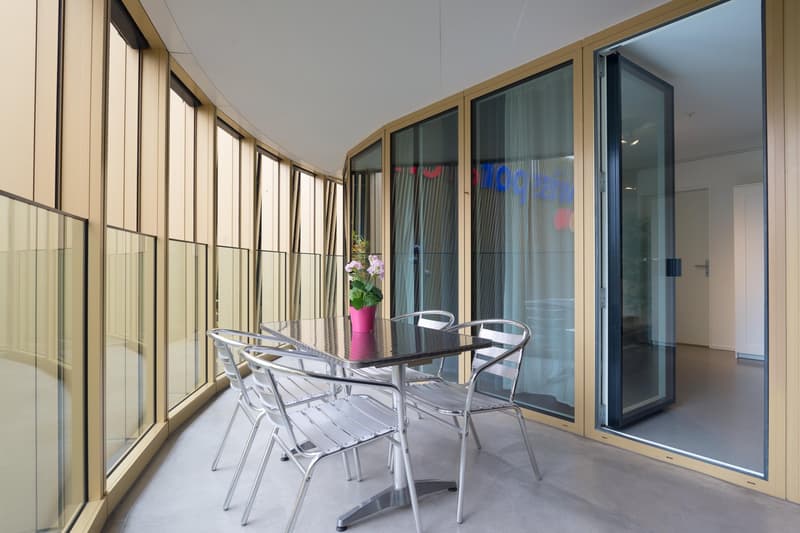 Moderne, möblierte 2-Zimmer-Wohnung mit Balkon in Luzern (5)