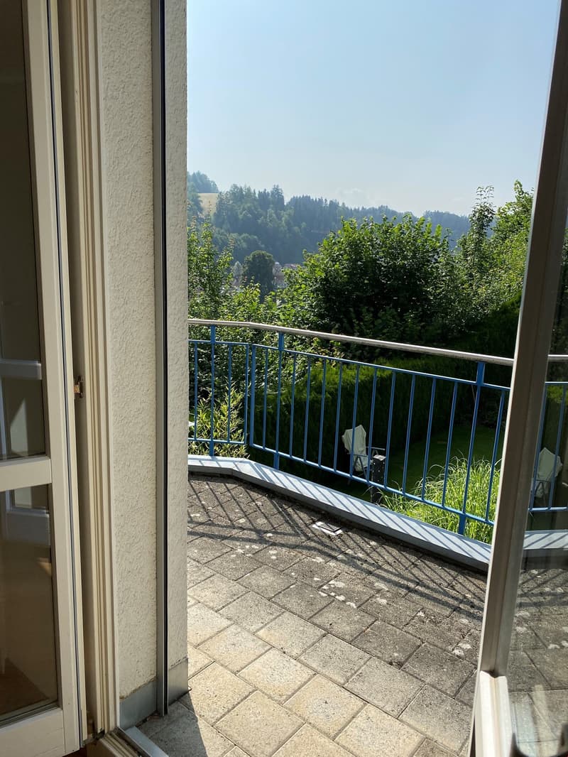4 1/2 Zimmerwohung, 110 m2,  CHF 1'850 plus  CHF 250.00 Nebenkosten (7)