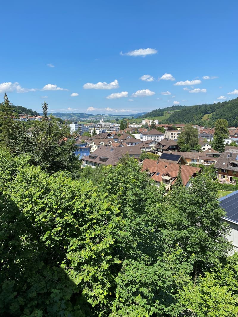 4 1/2 Zimmerwohung, 110 m2,  CHF 1'850 plus  CHF 250.00 Nebenkosten (2)