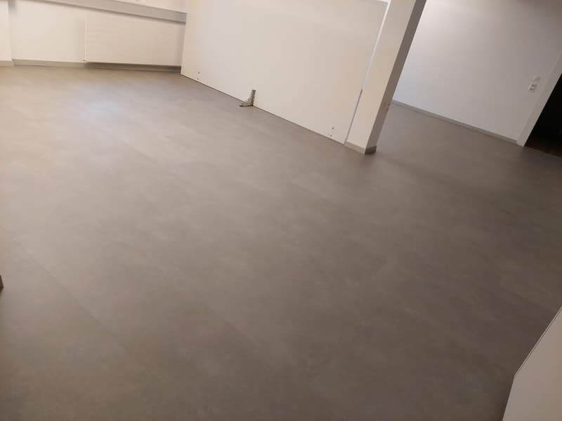 Büro- oder Gewerbeflächen zu vermieten (6)