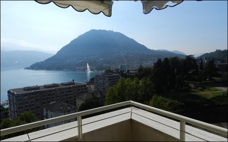 Appartamento 2.5 locali, centro Lugano con splendida vista lago, arredato (1)