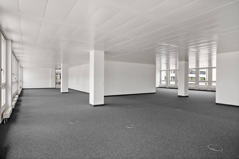 Weiträumiger Büroraum
