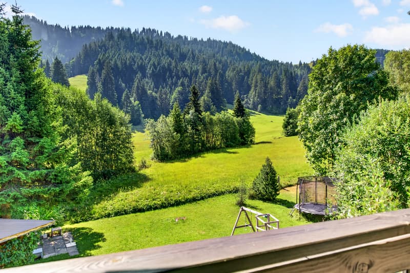 Aussichtsbalkon mit Blick in die Natur