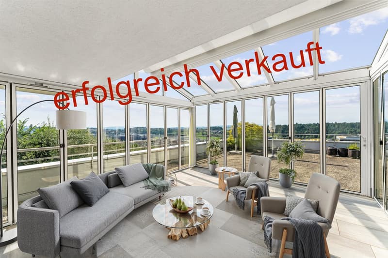 Large modern living area with glass walls, couch, chairs, coffee table, floor lamp, decorative plants, glass balcony
