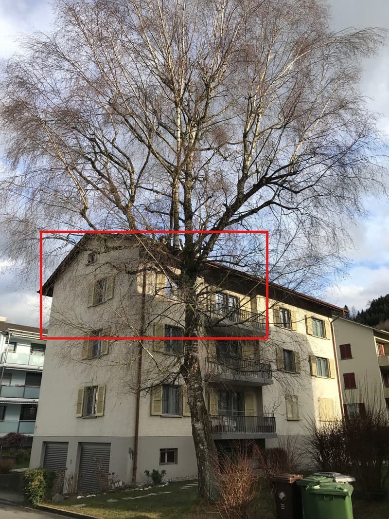 Zentral gelegene 4-Zimmerwohnung zu vermieten (6)