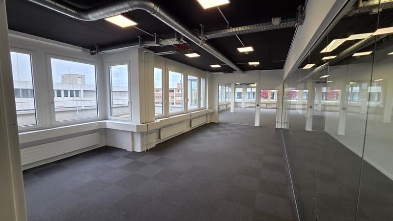 Moderne & helle Büroräumlichkeiten mit schöner Terrasse in Steinhausen (6)