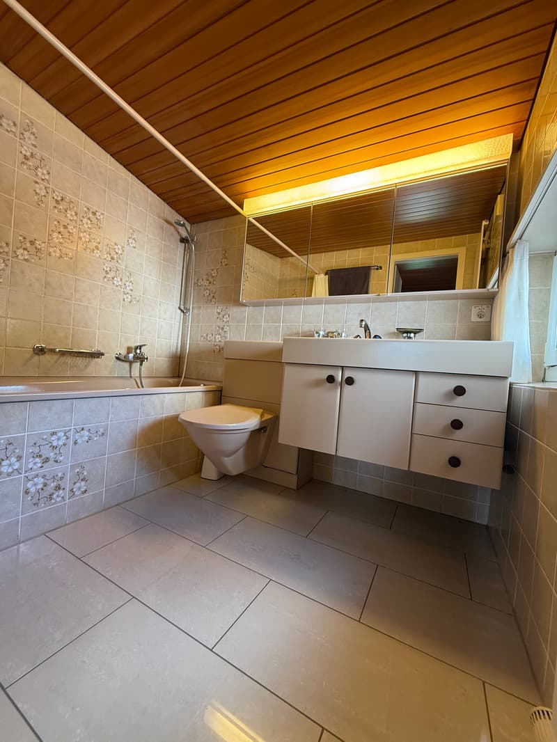 modern bathroom with bathtub, shower, toilet, sink, cabinets, and tiled floor