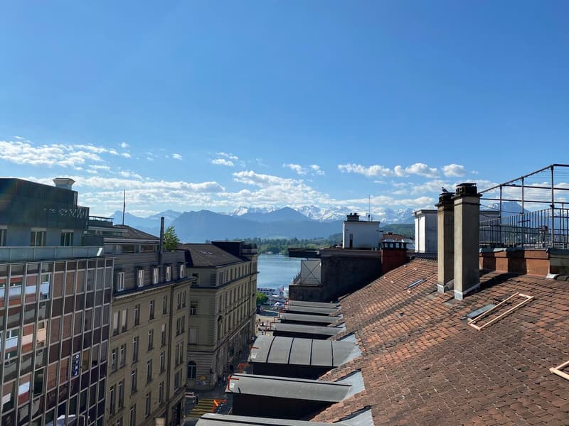 Diese Wohnung macht Sie sprachlos - Traumhafte Attika mit Panoramablick in Luzern (2)