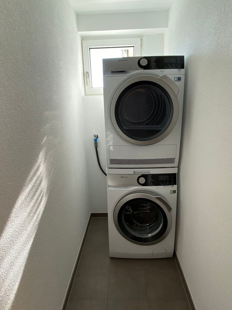 Diese Wohnung macht Sie sprachlos - Traumhafte Attika mit Panoramablick in Luzern (13)