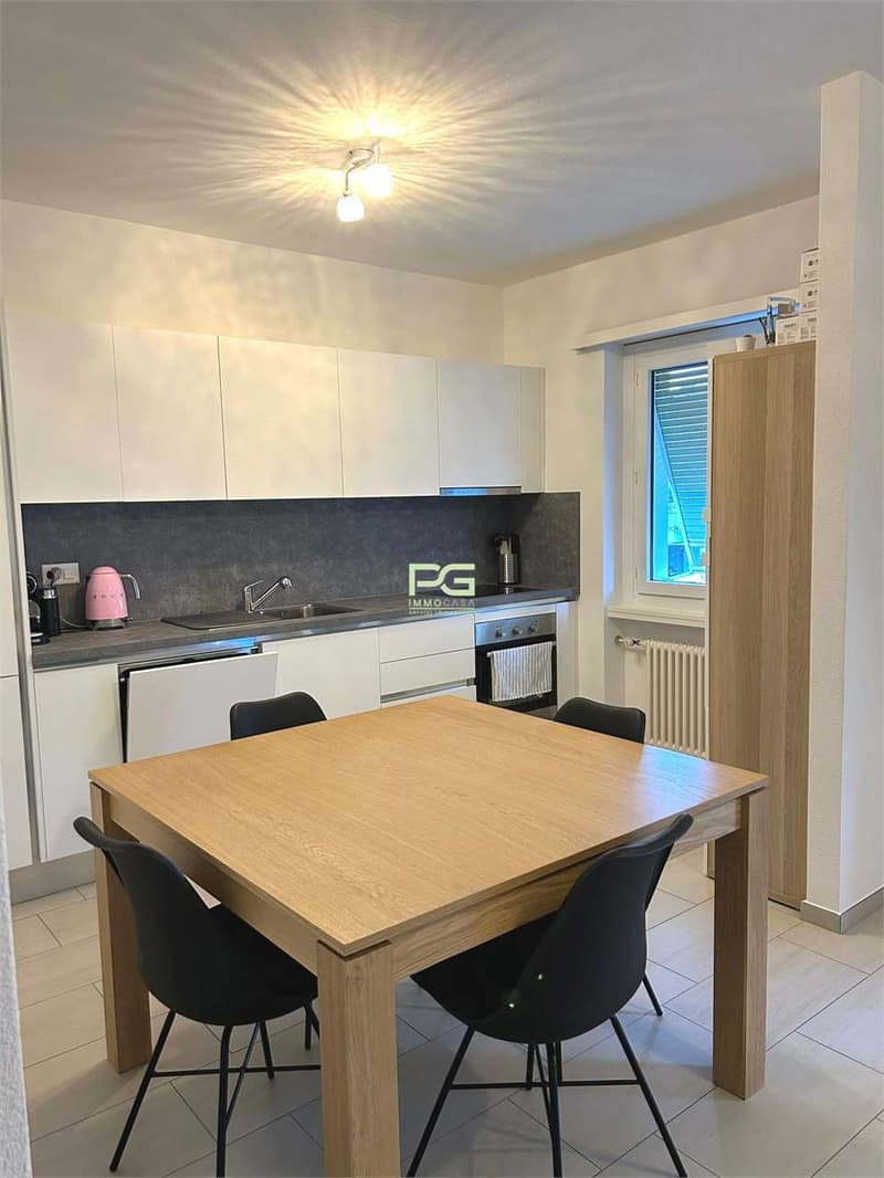 Appartamento 3.5 locali ristrutturato (2)