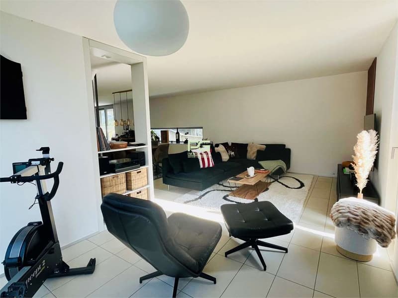 Moderna e comoda casa singola con giardino (3)