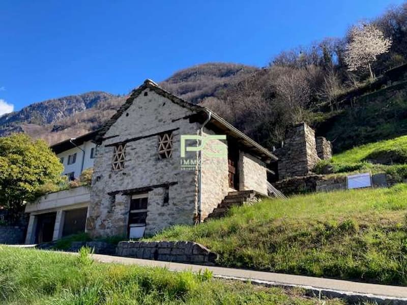 Stalla in vendita (1)
