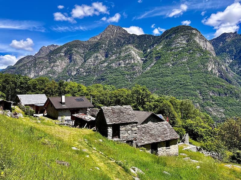 Monti di Lodrino - rustico in vendita (4)