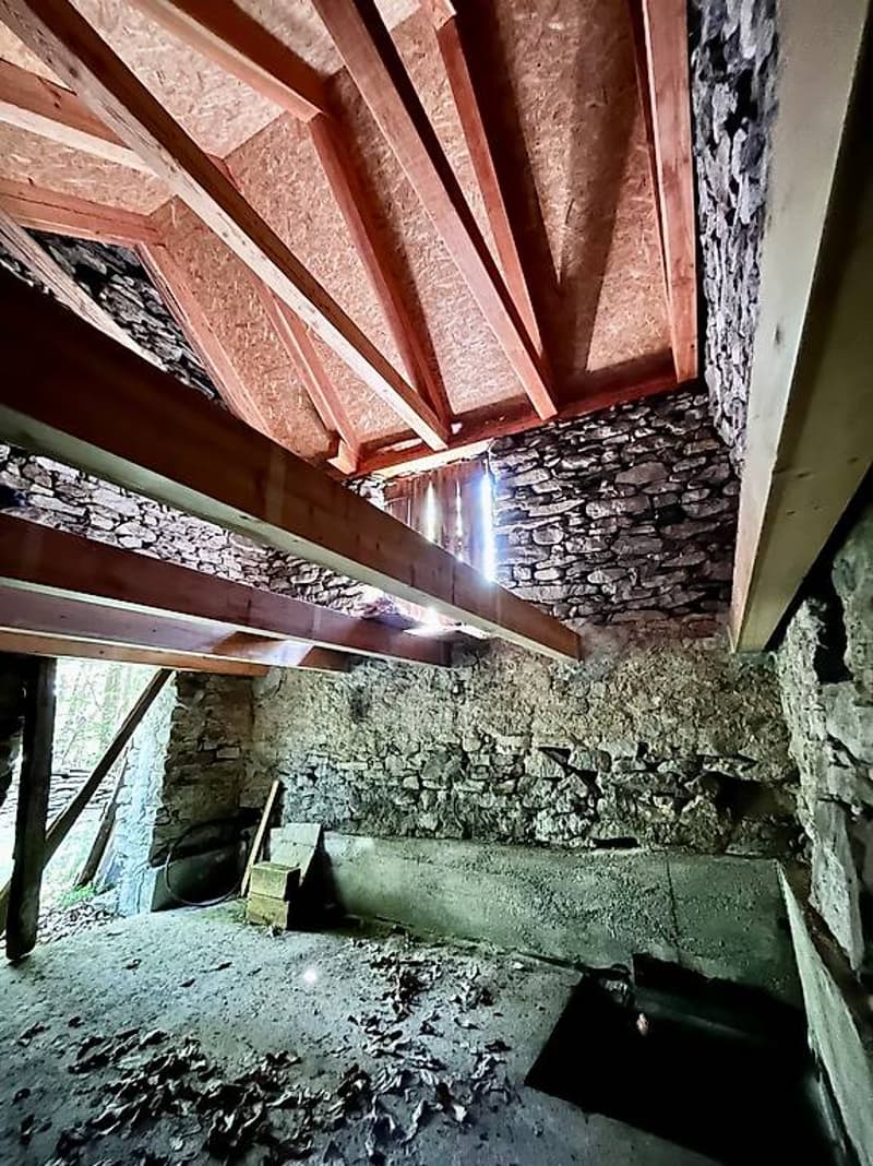 Monti di Lodrino - rustico in vendita (3)