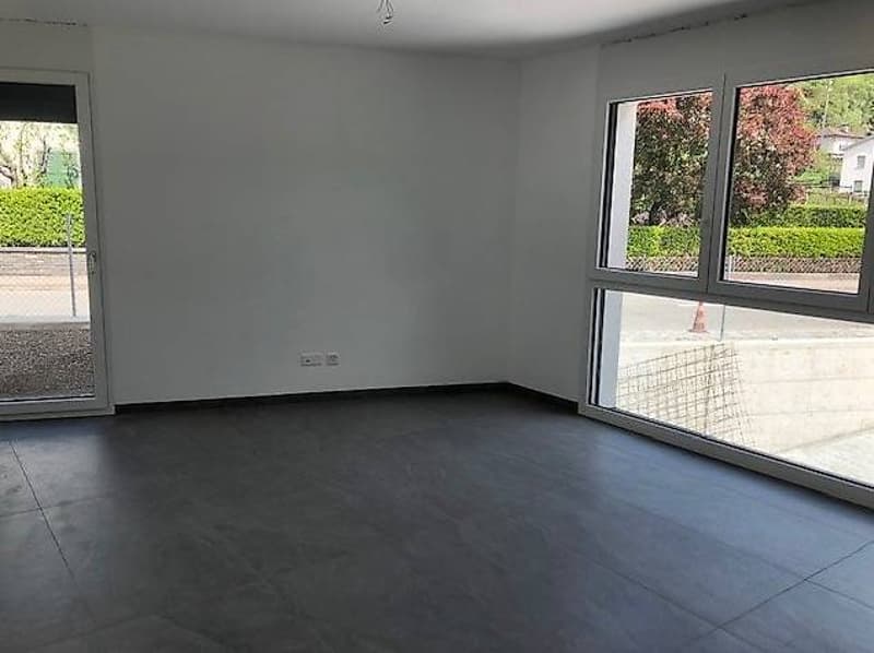 Appartamento 2.5 locali con giardino (3)