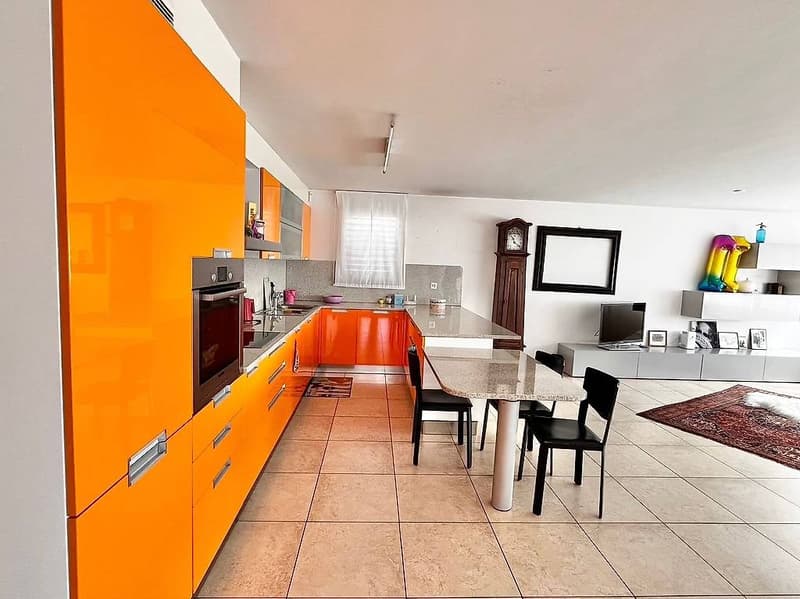 Ampio appartamento 4.5 locali con giardino (4)