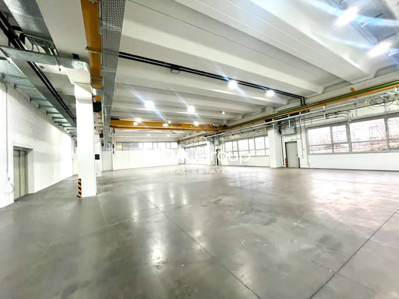 Magazzino - Arbedo-Castione (2)