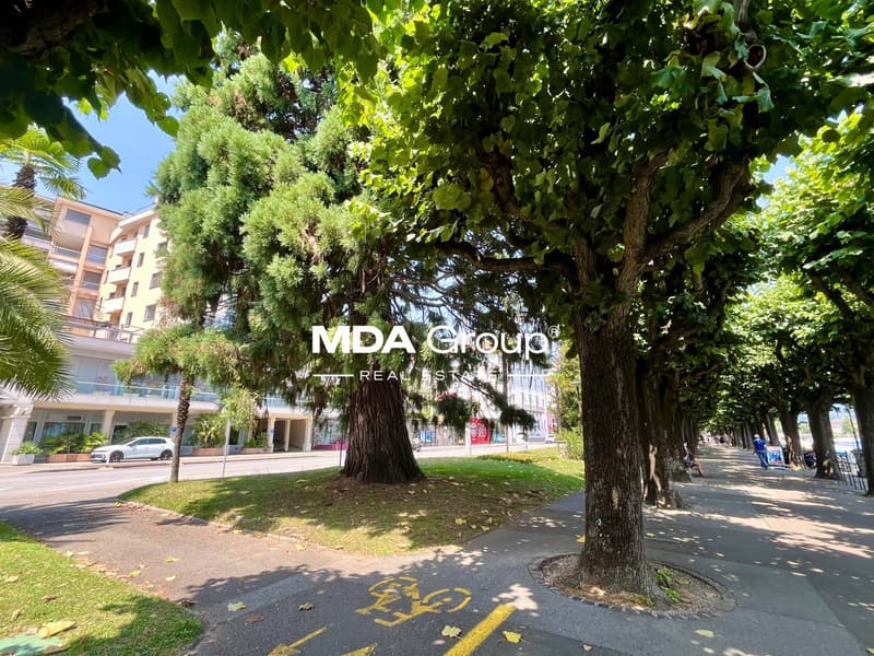 Appartamento - Lugano (4)