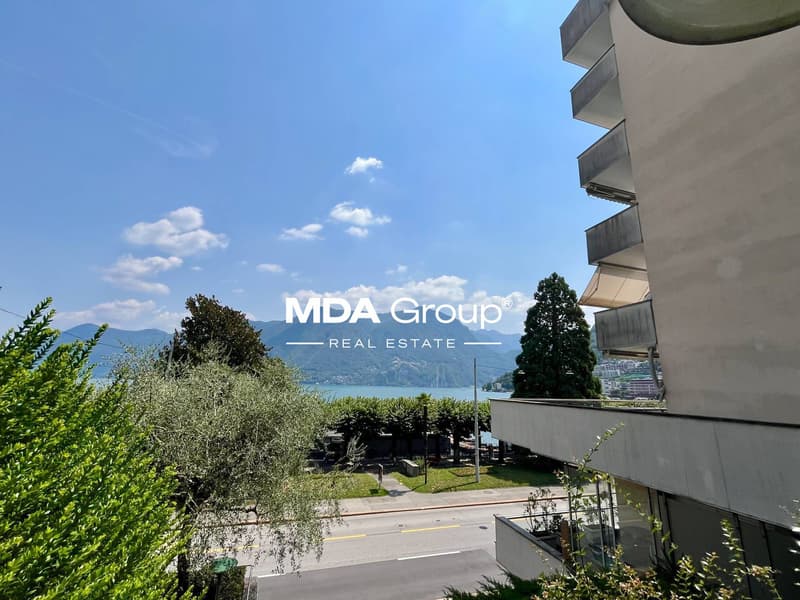 Appartamento - Lugano (2)