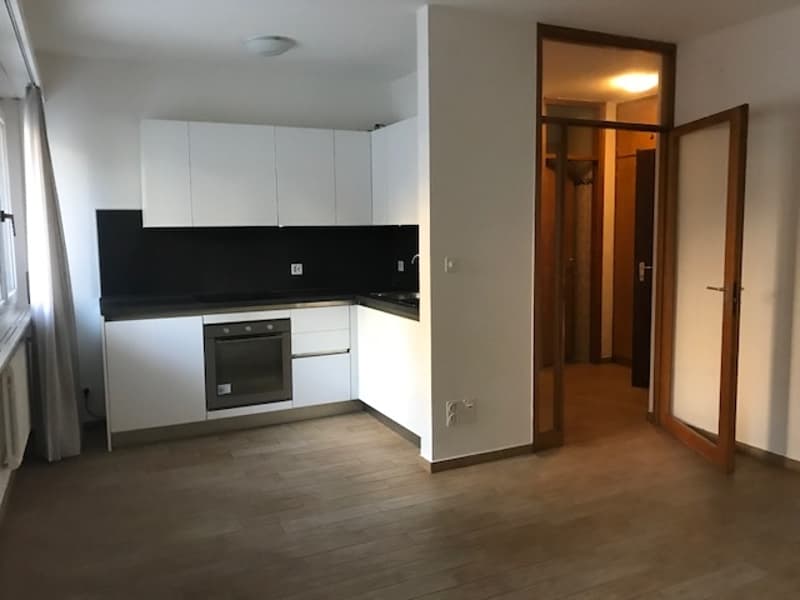 Appartamento - Paradiso (3)