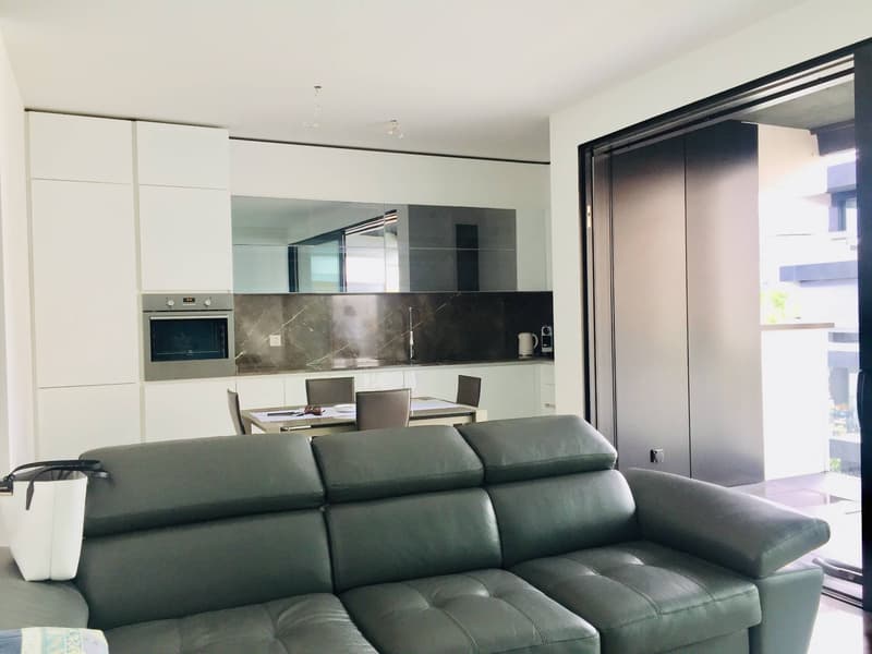 Appartamento - Lugano (5)