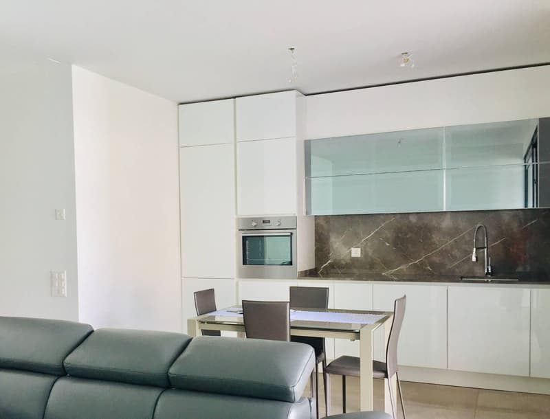 Appartamento - Lugano (3)