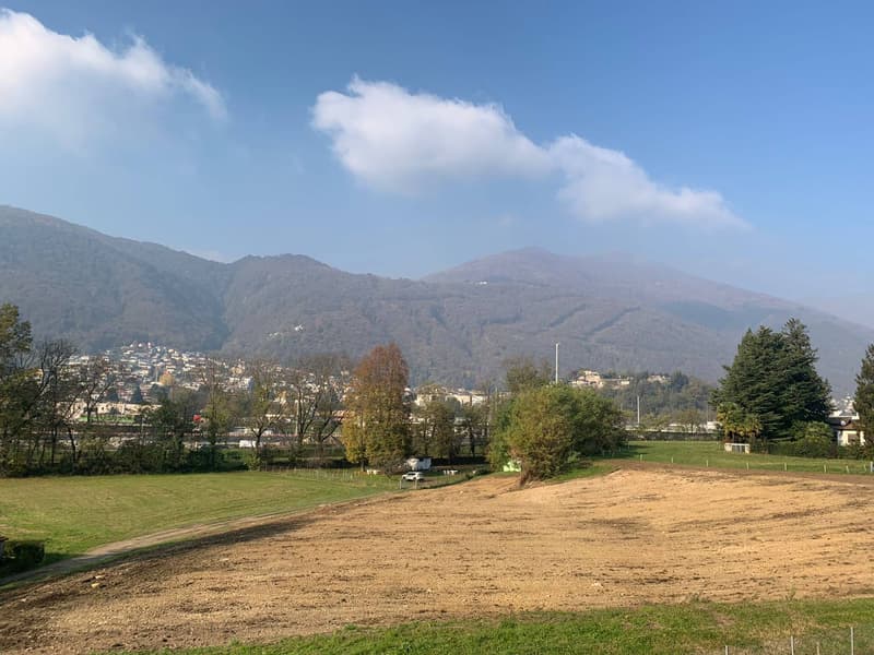 Appartamento - Cadempino | homegate.ch