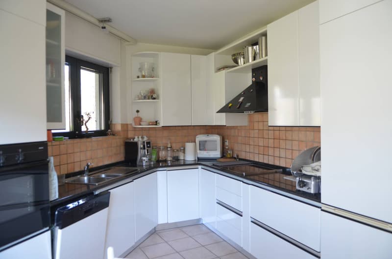 Casa unifamiliare - Lugano (5)