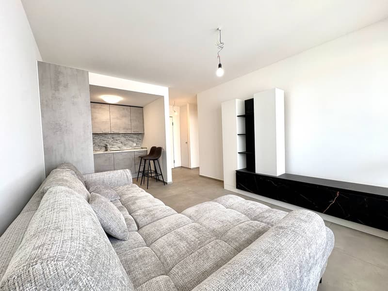 Appartamento - Chiasso (2)