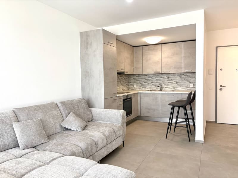 Appartamento - Chiasso (1)