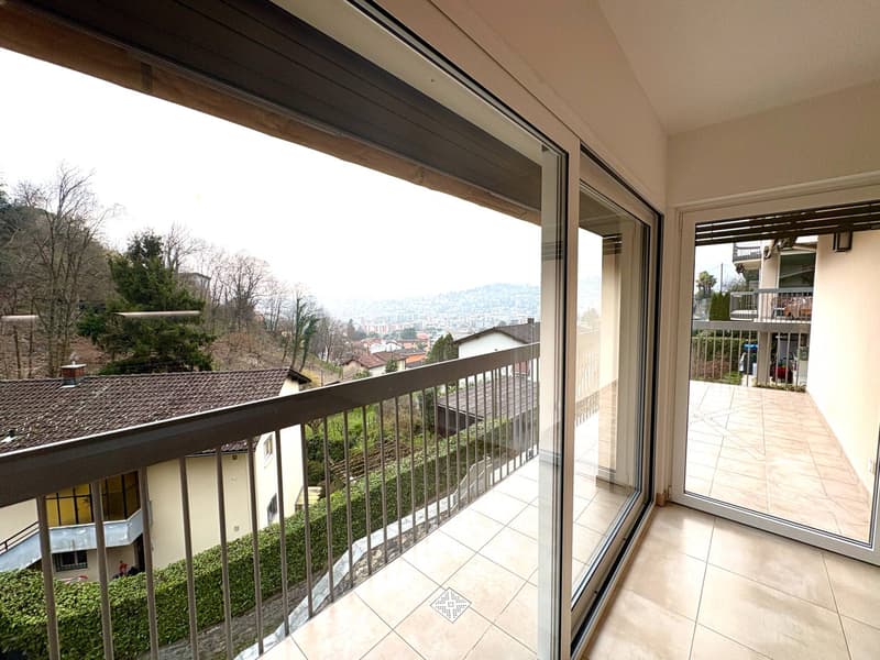 Appartamento - Viganello (3)