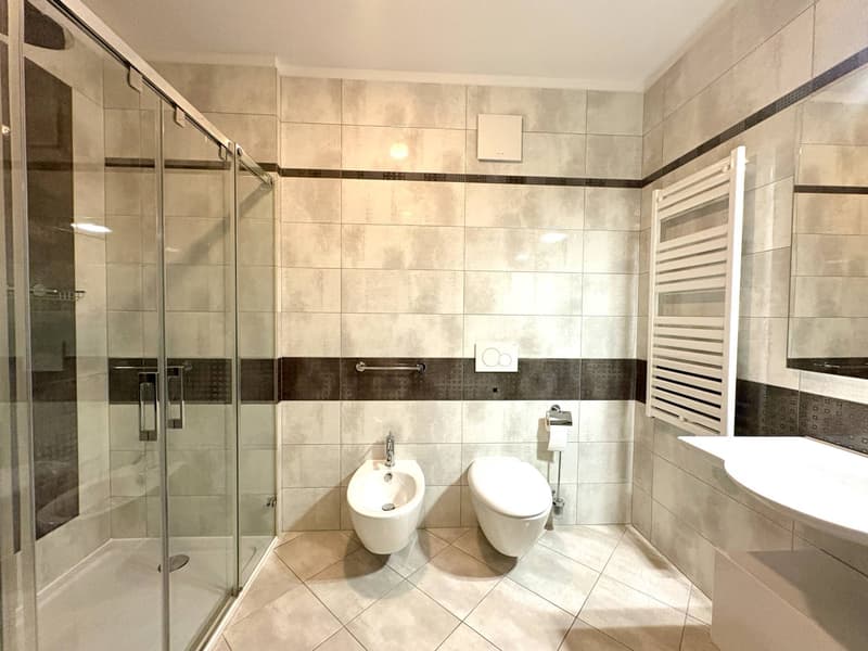 Appartamento - Viganello (5)